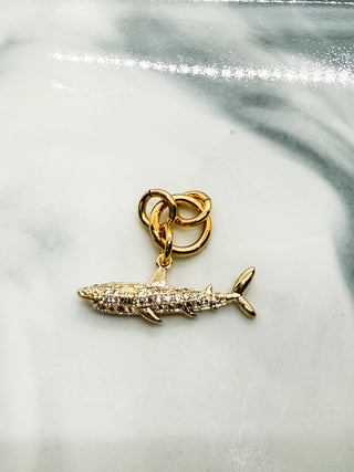 Charm requin