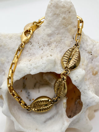 Bracelet triple coquillages