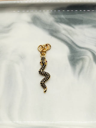 Charm serpent noir