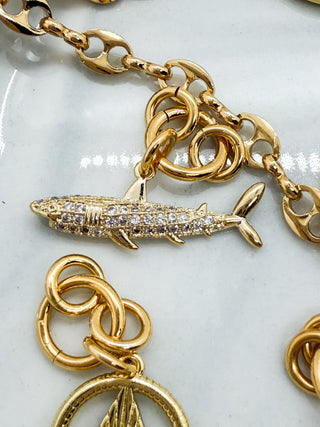 Charm requin