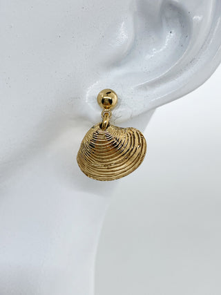 Boucles d’oreilles coquillages palourde
