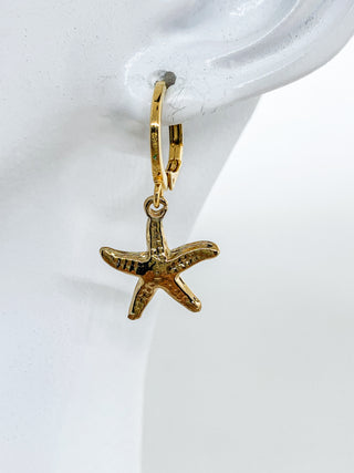 Créole(s) étoile de mer