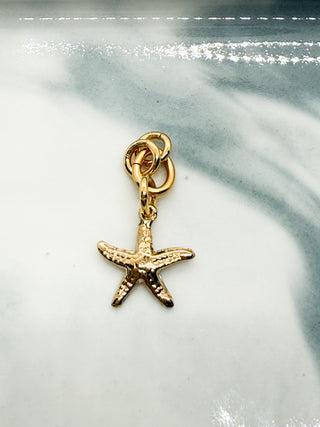 Charm étoile de mer